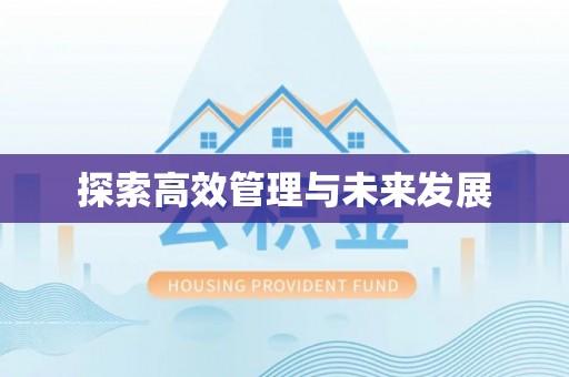 魏都探索高效管理与未来发展