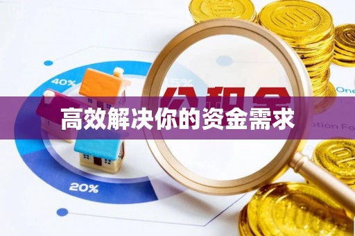 魏都高效解决你的资金需求