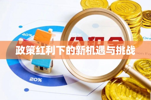 魏都政策红利下的新机遇与挑战