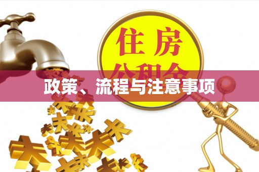 魏都政策、流程与注意事项