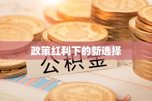魏都政策红利下的新选择