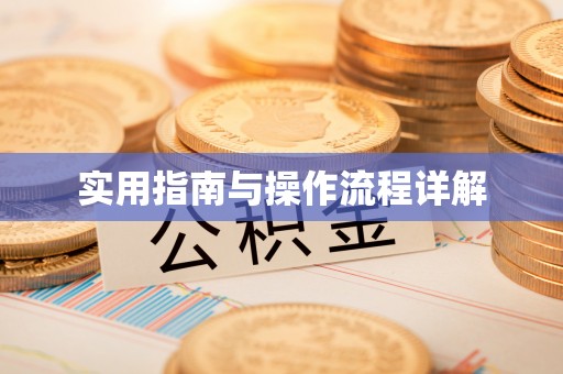 魏都实用指南与操作流程详解