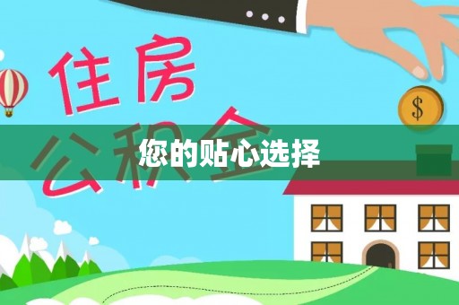 魏都您的贴心选择