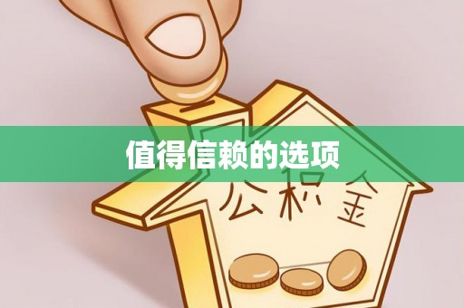 魏都值得信赖的选项