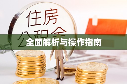 魏都全面解析与操作指南