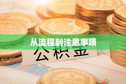 魏都从流程到注意事项