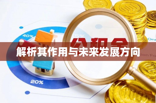 魏都解析其作用与未来发展方向