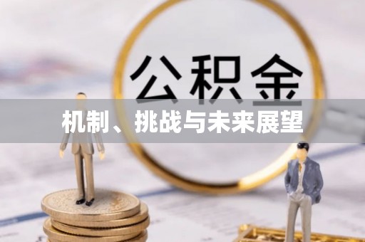 魏都机制、挑战与未来展望