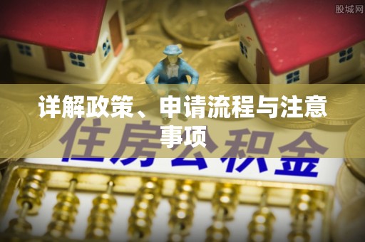魏都详解政策、申请流程与注意事项