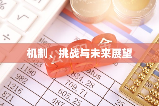 魏都机制、挑战与未来展望