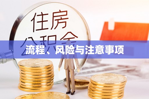 魏都流程、风险与注意事项