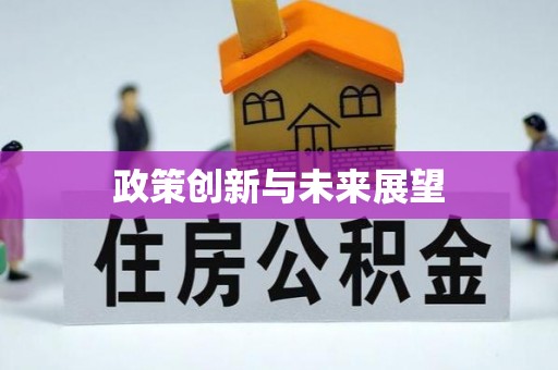 魏都政策创新与未来展望
