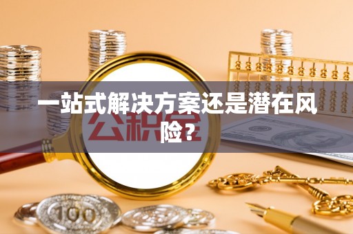 魏都一站式解决方案还是潜在风险？