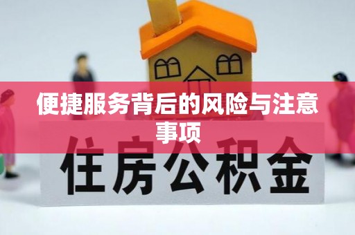 魏都便捷服务背后的风险与注意事项